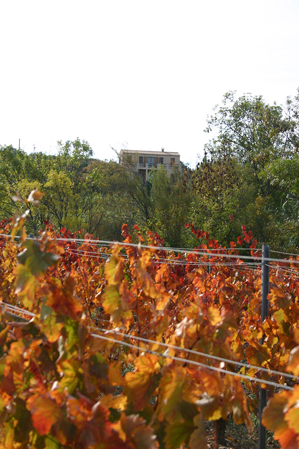 Herbst 2015