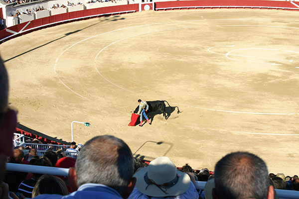 Corrida Bziers